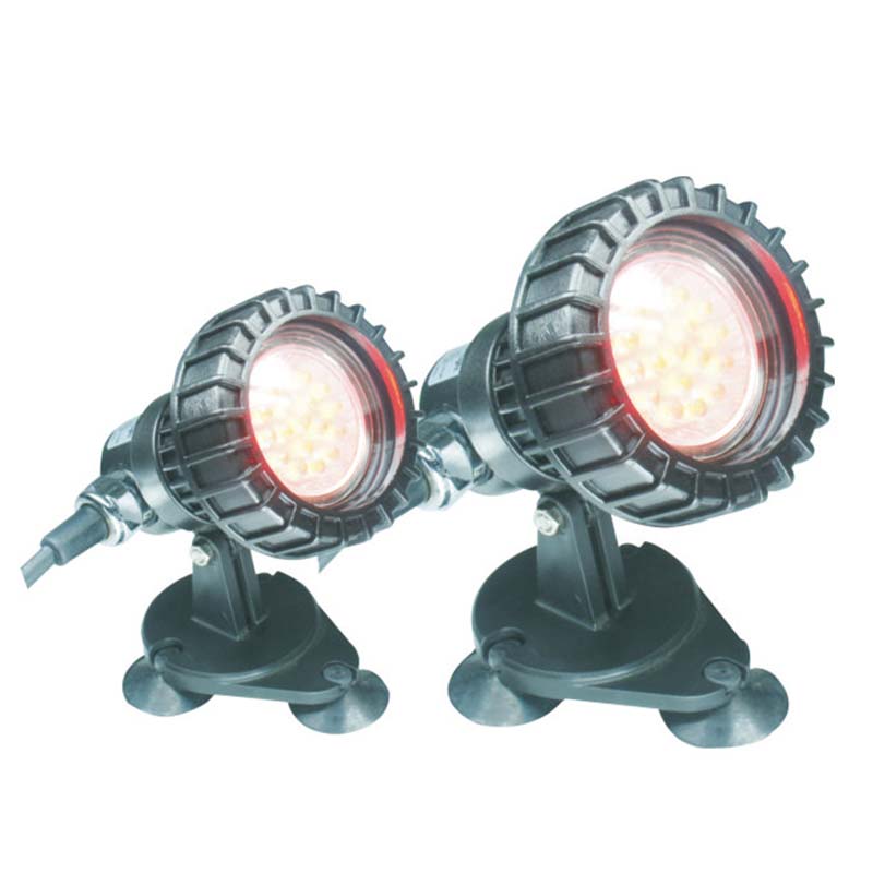 Potopna luč za ribe nad podzemnim ribnikom